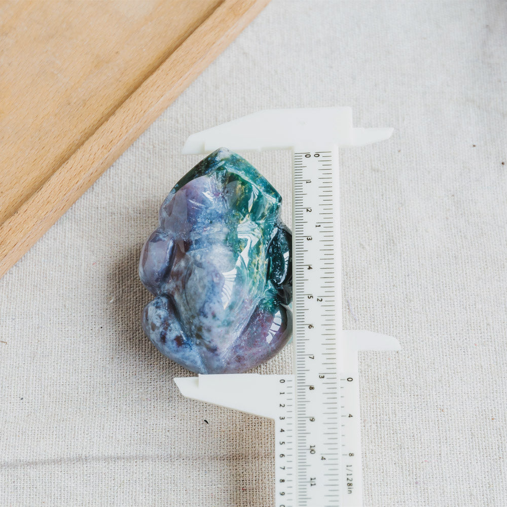 Ocean Jasper Frog