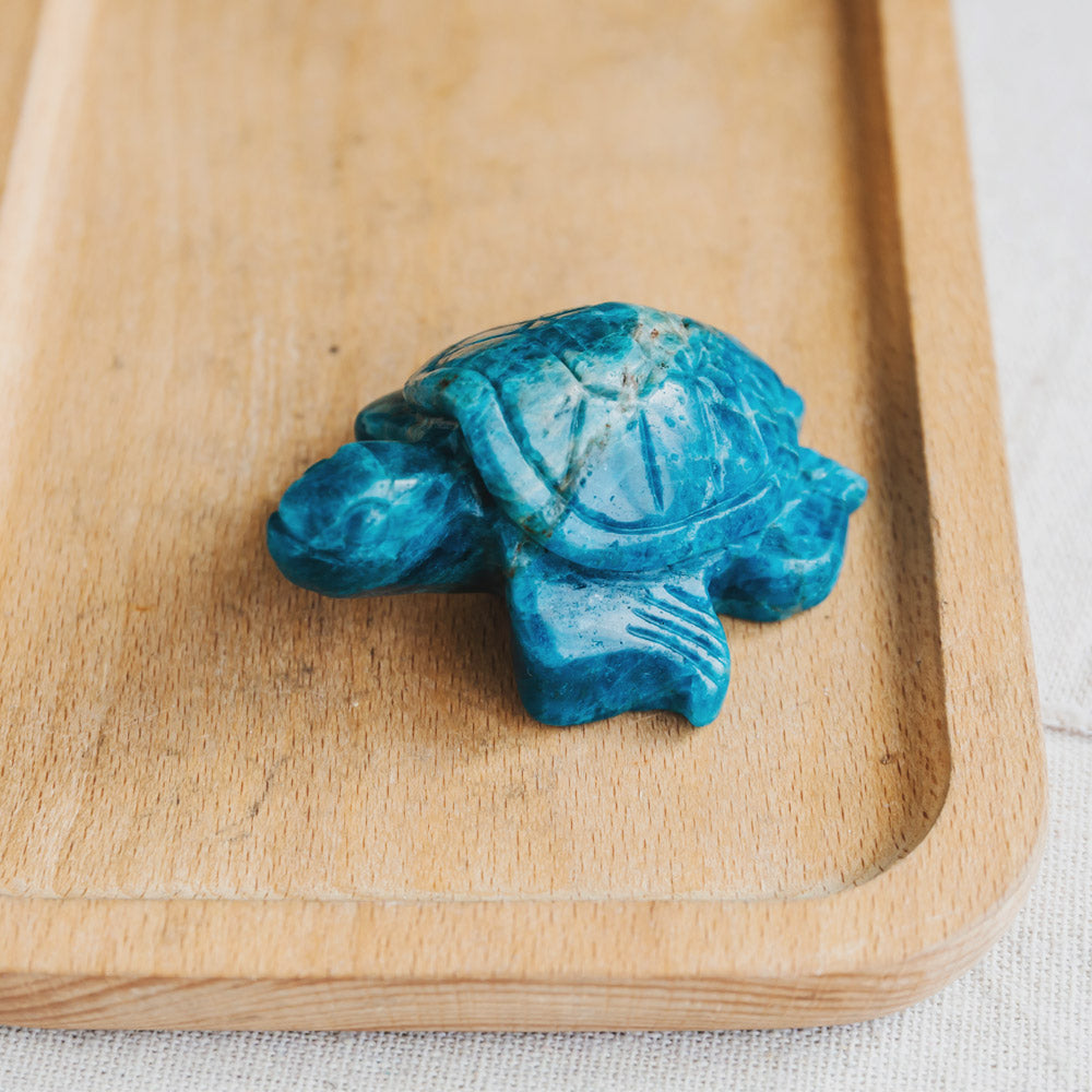 Blue Apatite Turtle