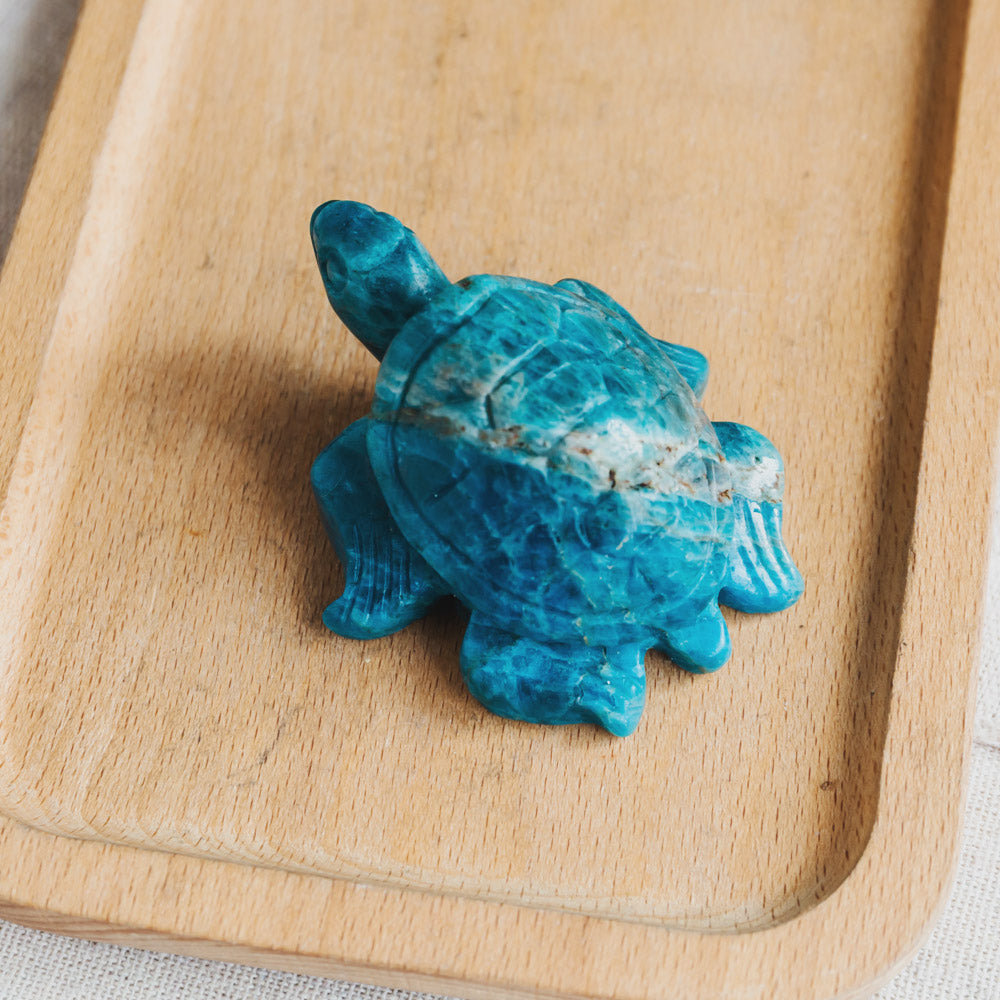 Blue Apatite Turtle