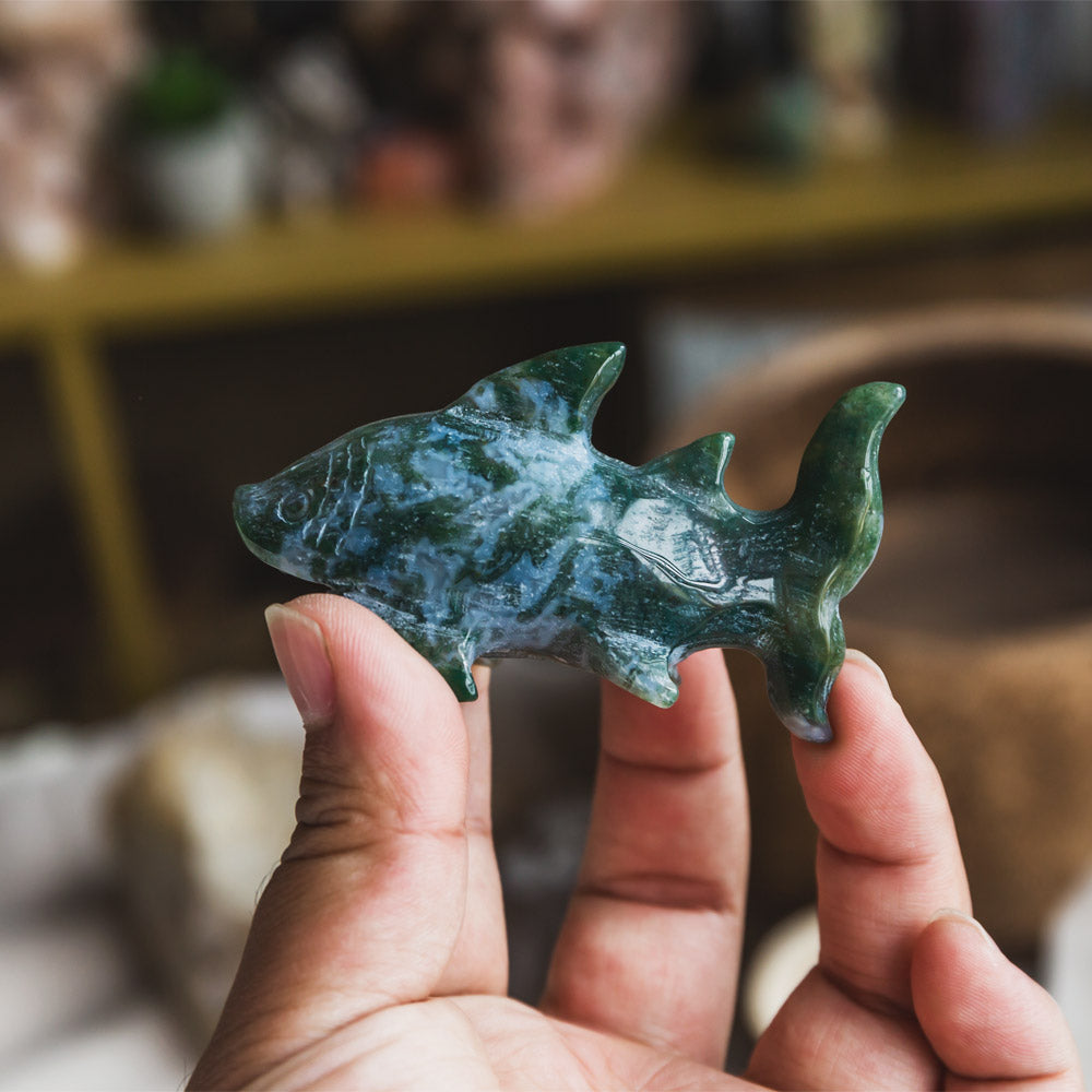 Moss Agate Shark