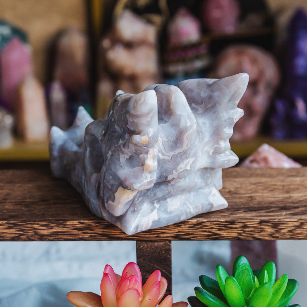 White Crazy Lace Agate Dragon Head