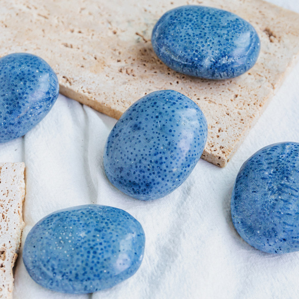 Blue Coral Palm Stone