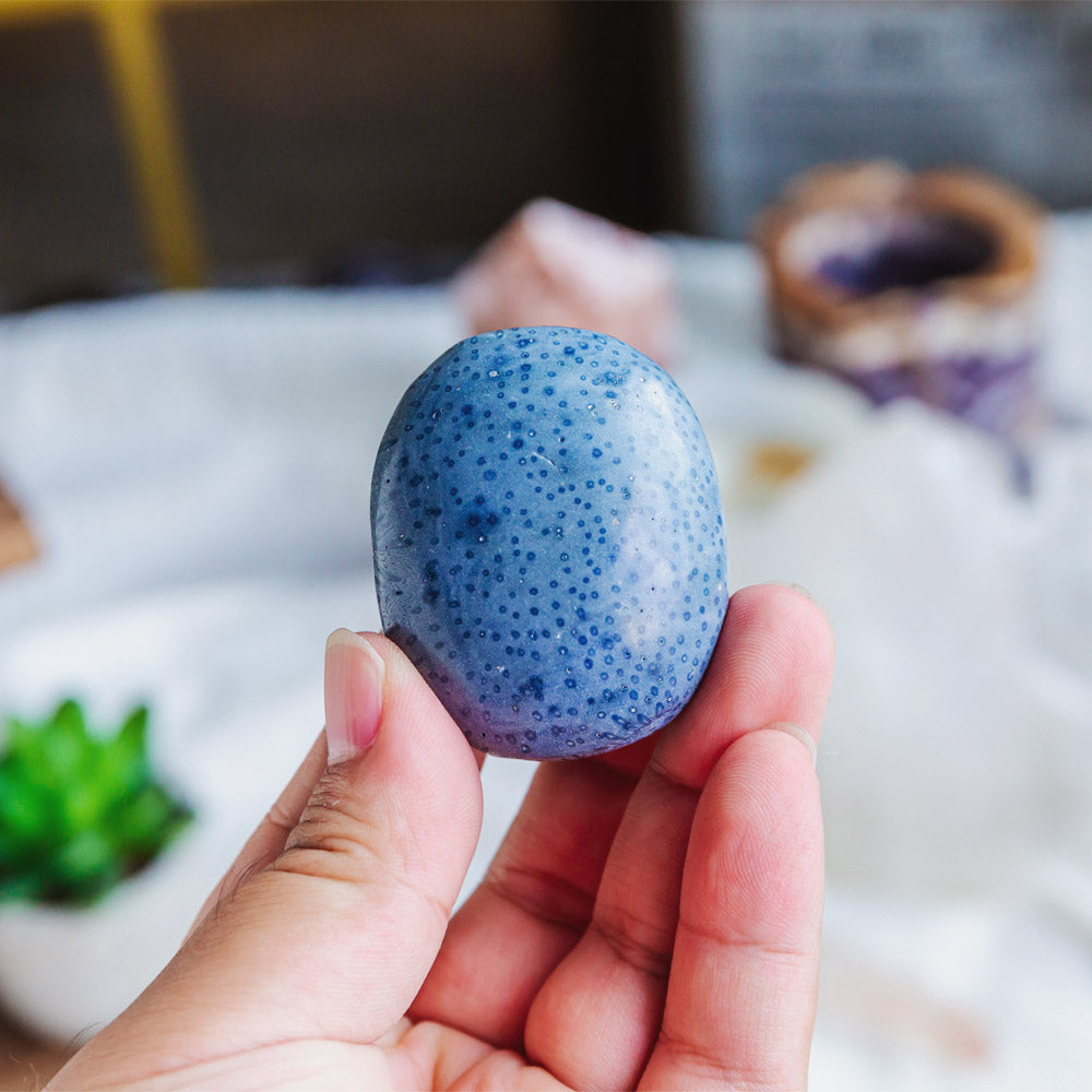 Blue Coral Palm Stone