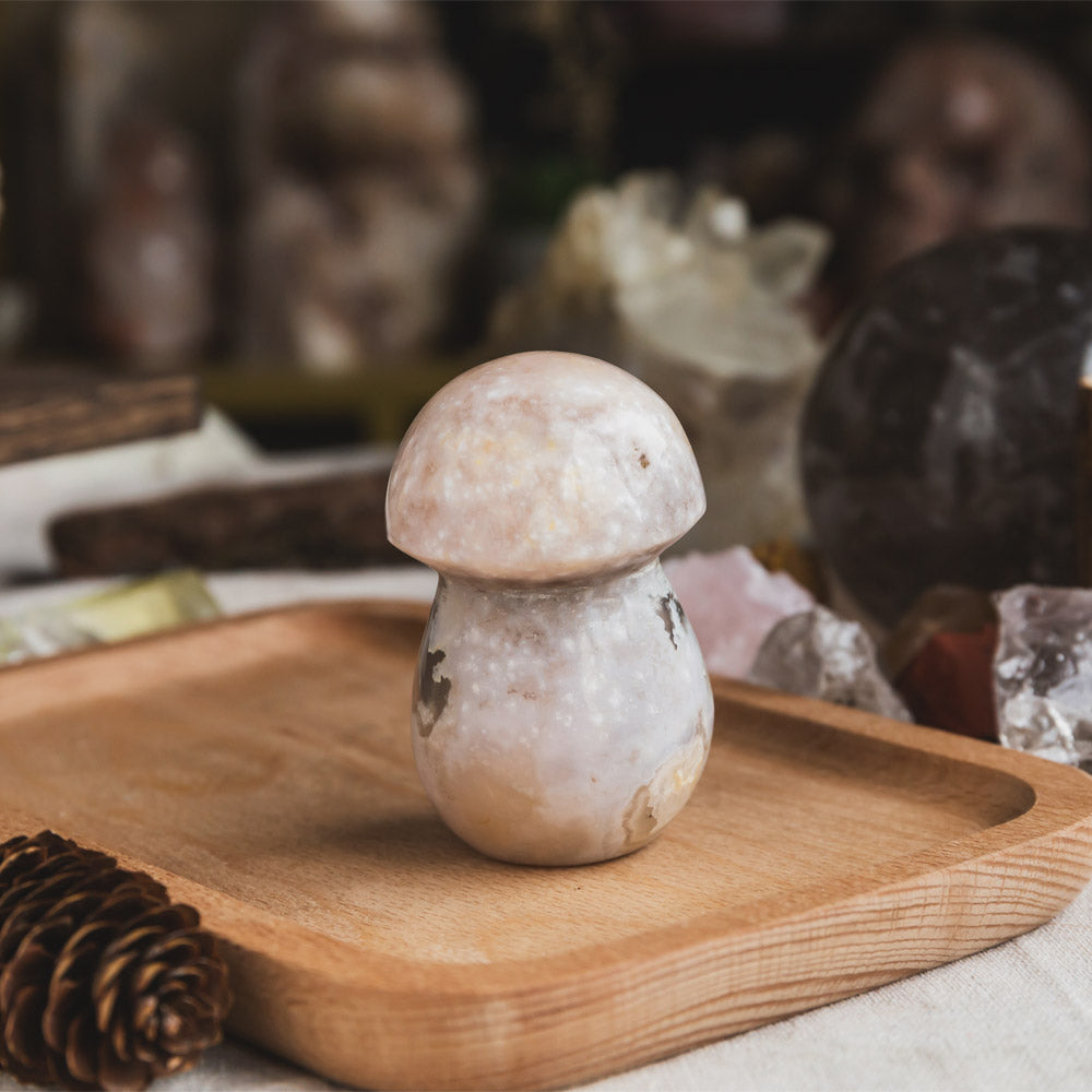 Flower Agate Mushroom