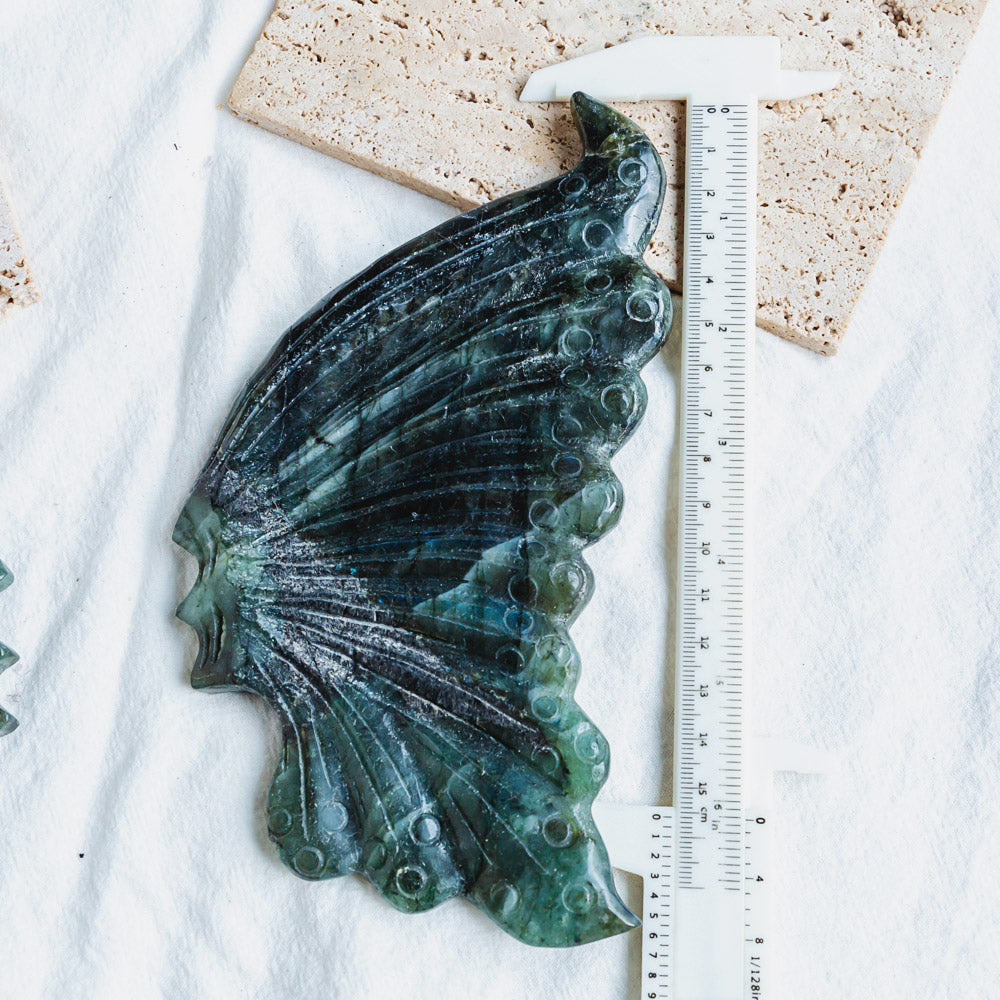 Labradorite Butterfly Wings