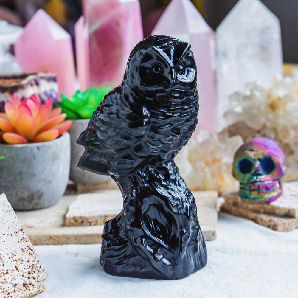 Black Obsidian Owl