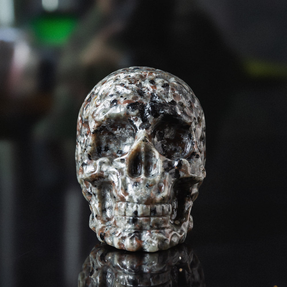 Yooperlite Skull