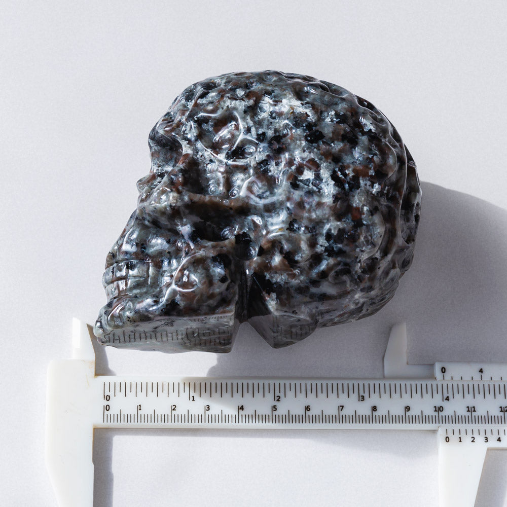 Yooperlite Skull