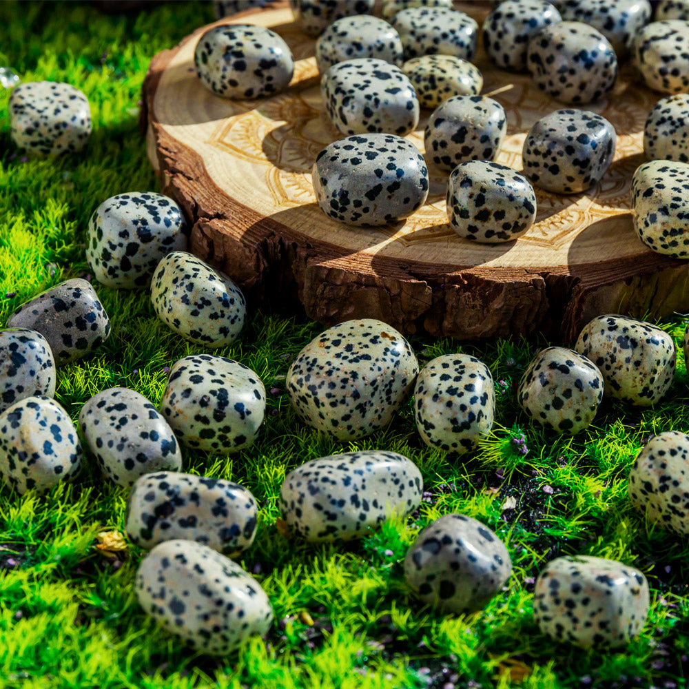 Dalmatian Jasper Cube