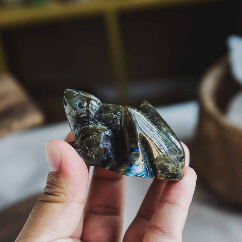 Labradorite Frog