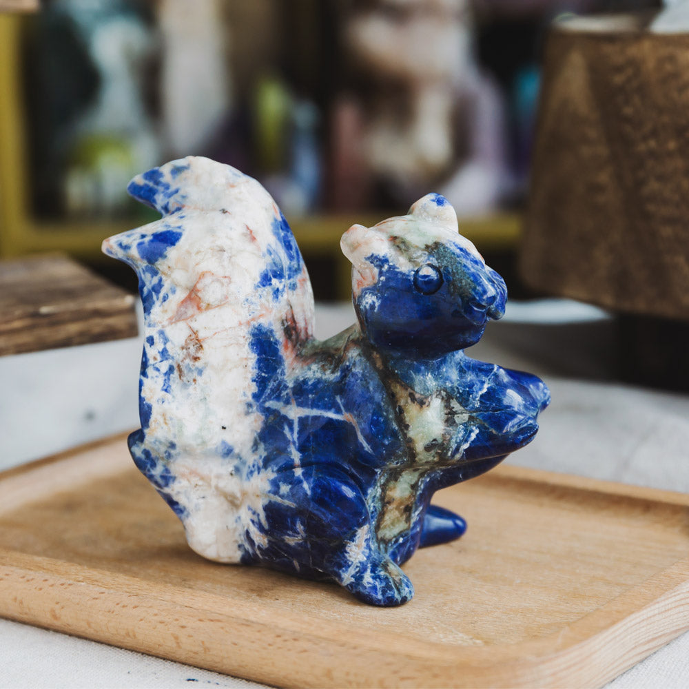 Sodalite Squirrel