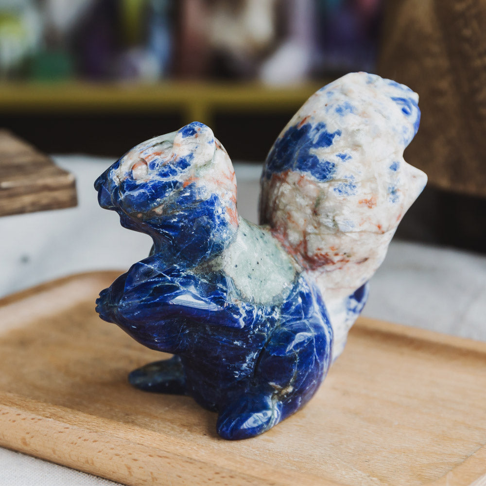 Sodalite Squirrel