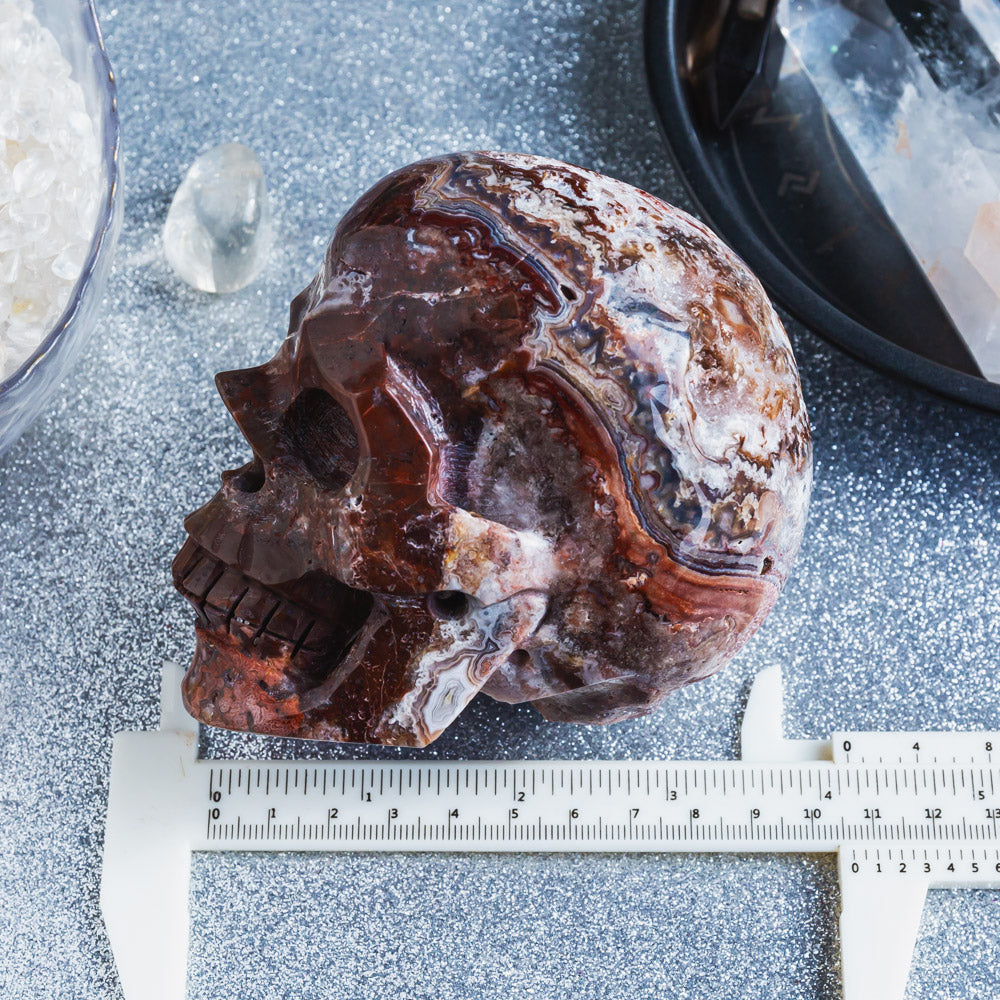 Mexico Sardonyx Hollow Skull