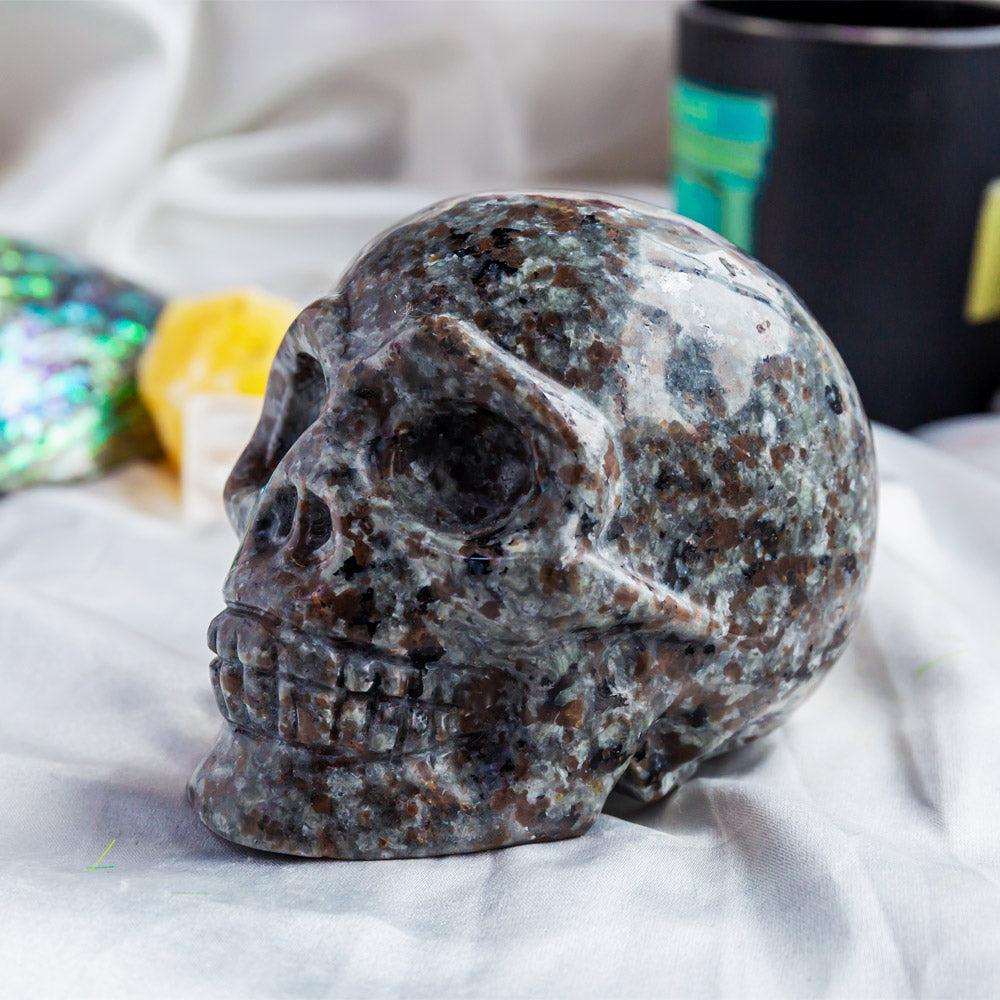 Yooperlite Skull