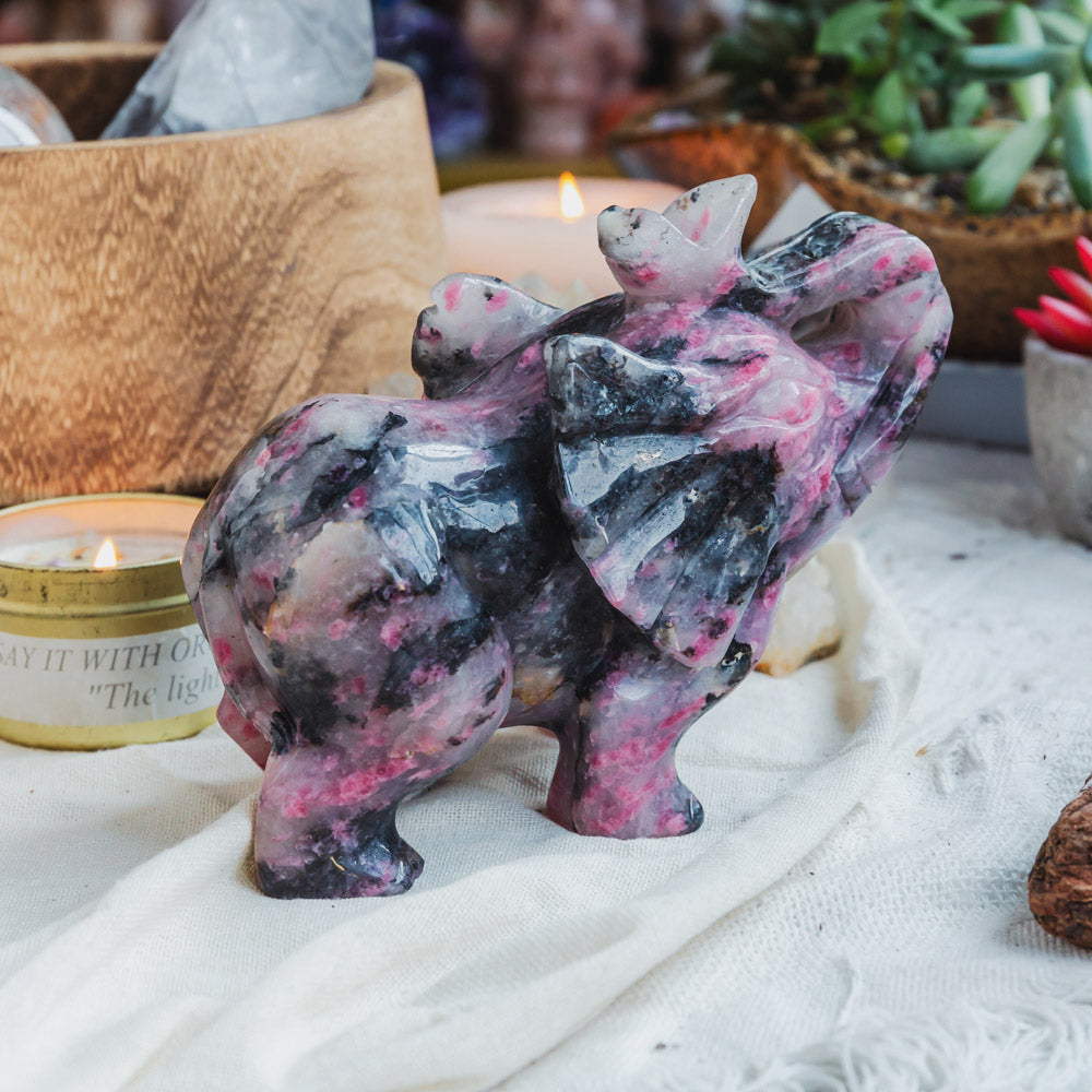 Rhodonite With Clear Quartz Elephant