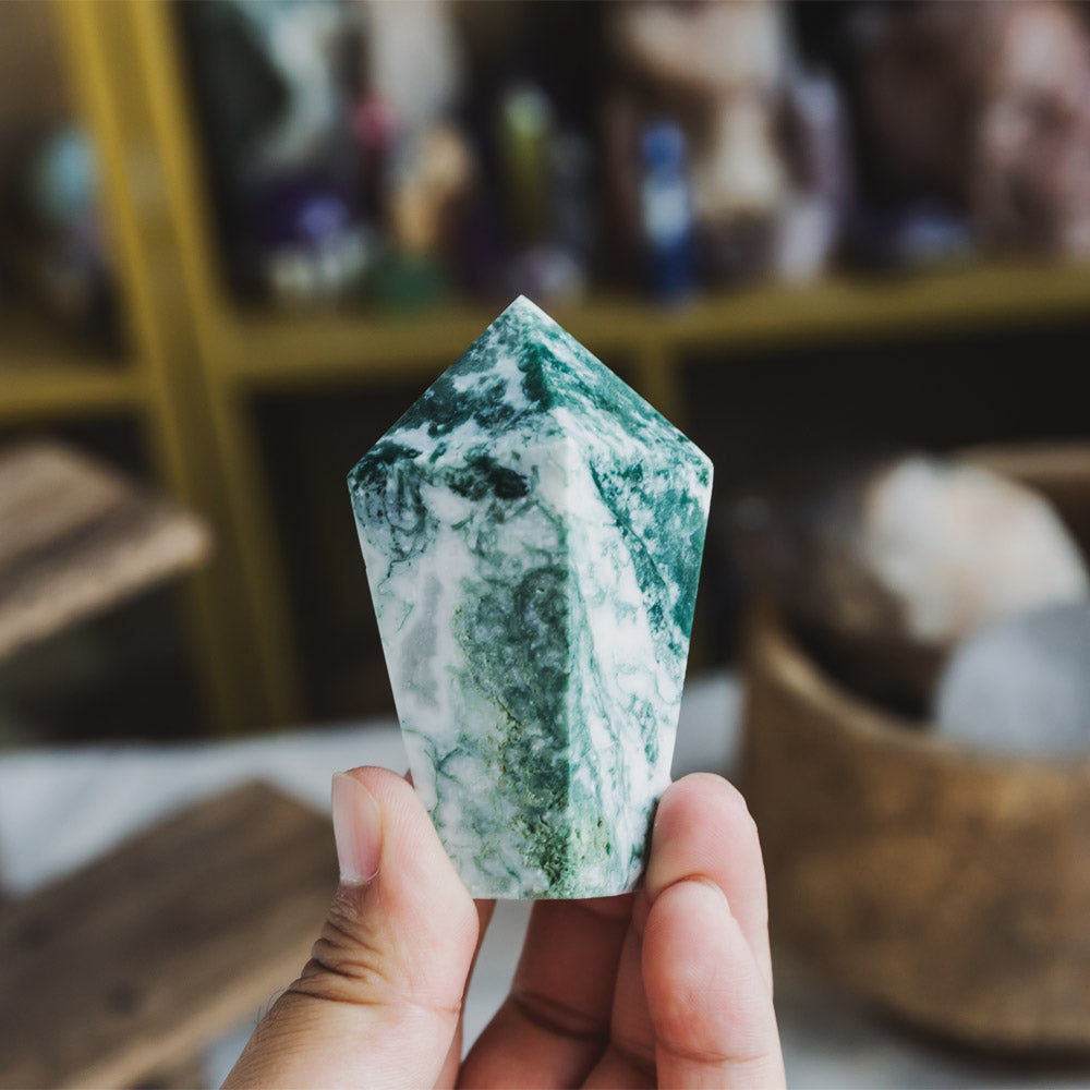 Tree Agate Cake Point