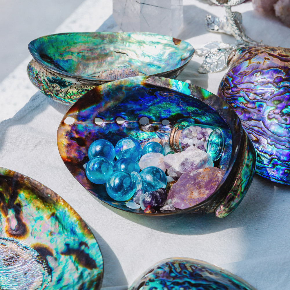 Colorful Abalone Shell