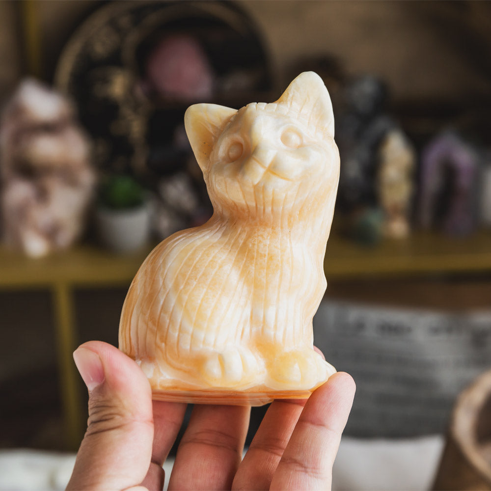 Orange Calcite Cat