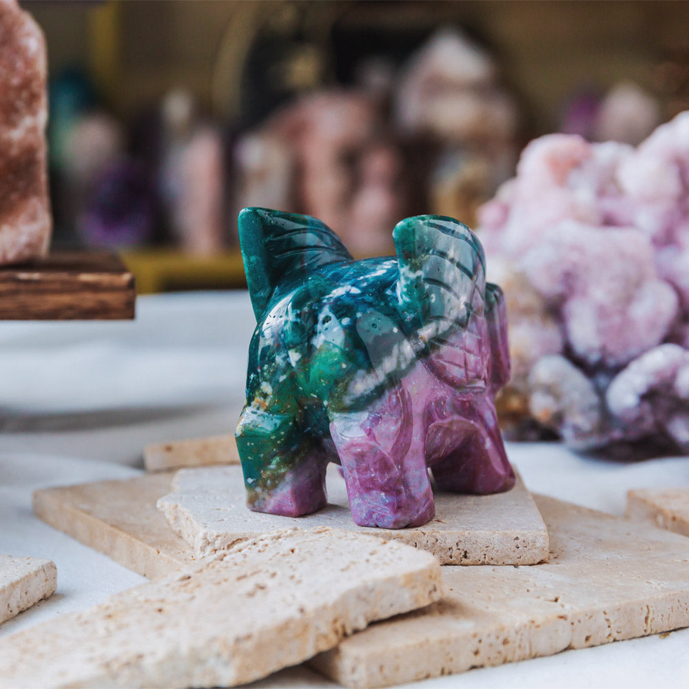 Ocean Jasper Flying Pig