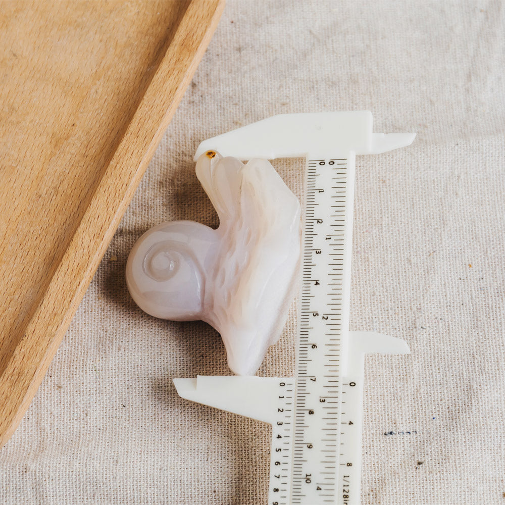 2.5" Flower Agate Snail