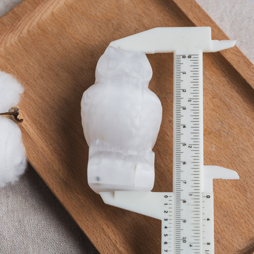 Selenite Owl