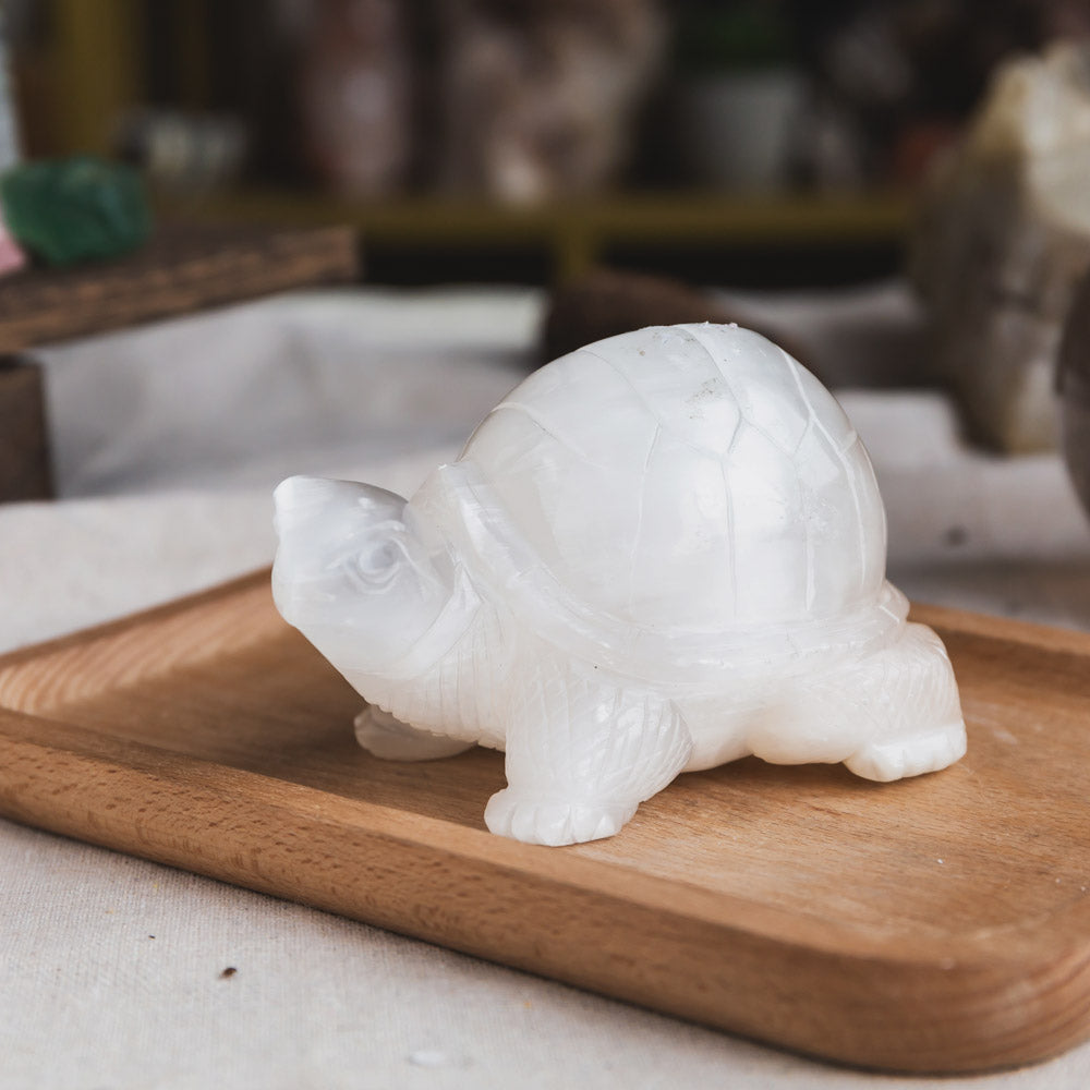 Selenite Turtle