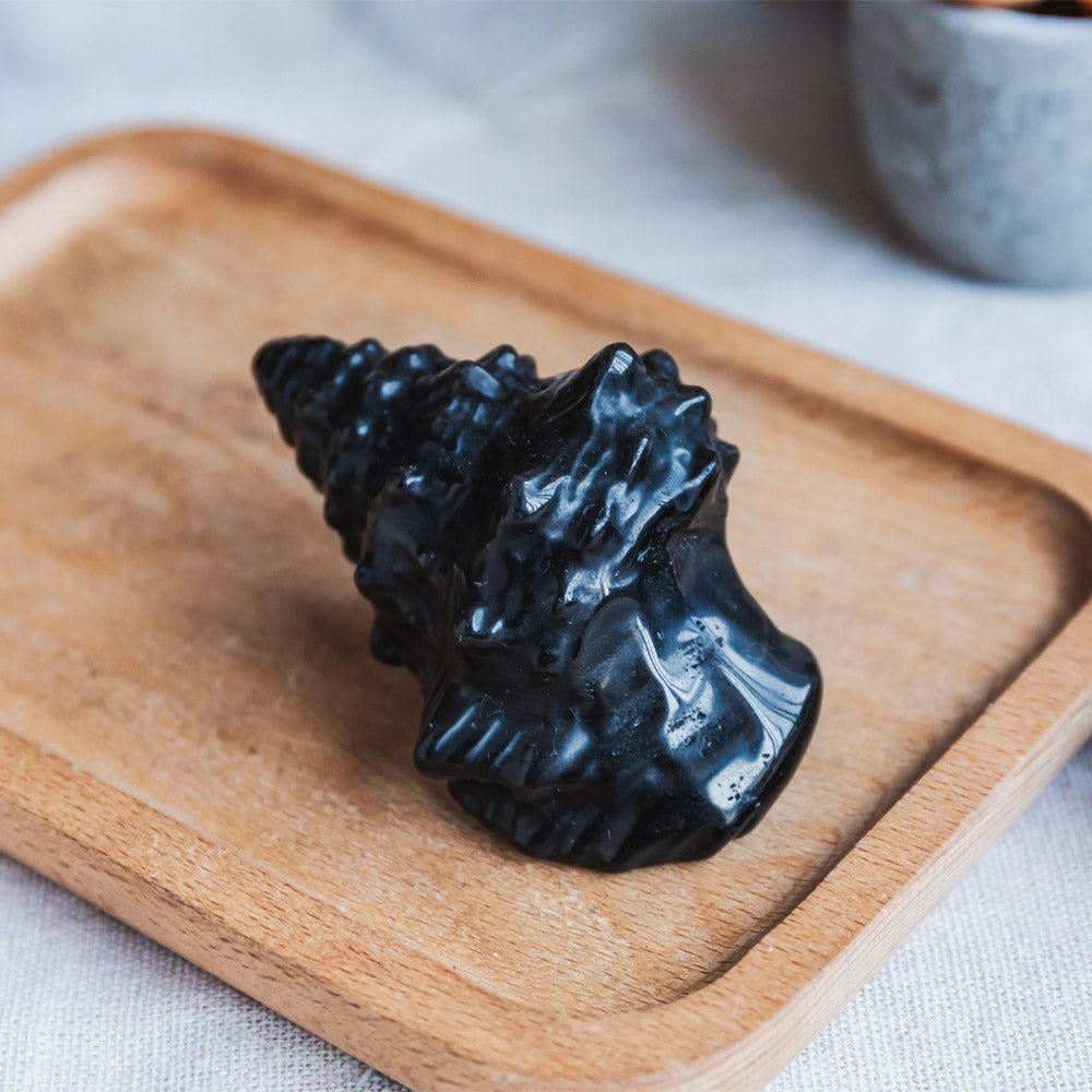 Black Obsidian Conch