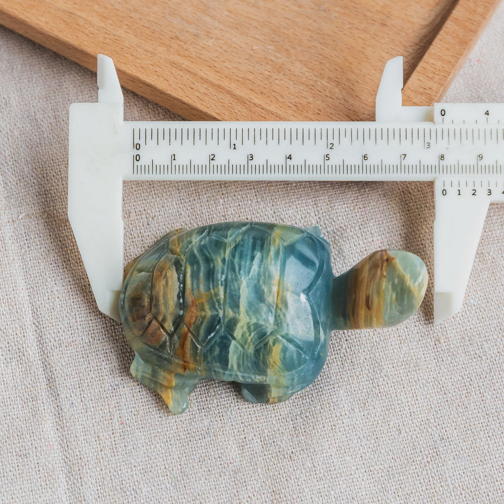 Blue Onyx Turtle