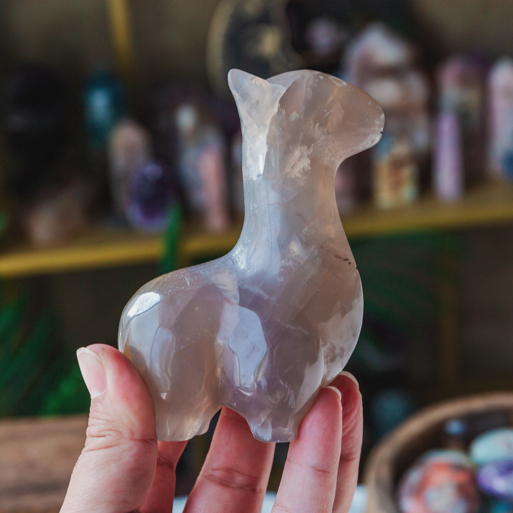 Blue Rose Quartz Llama