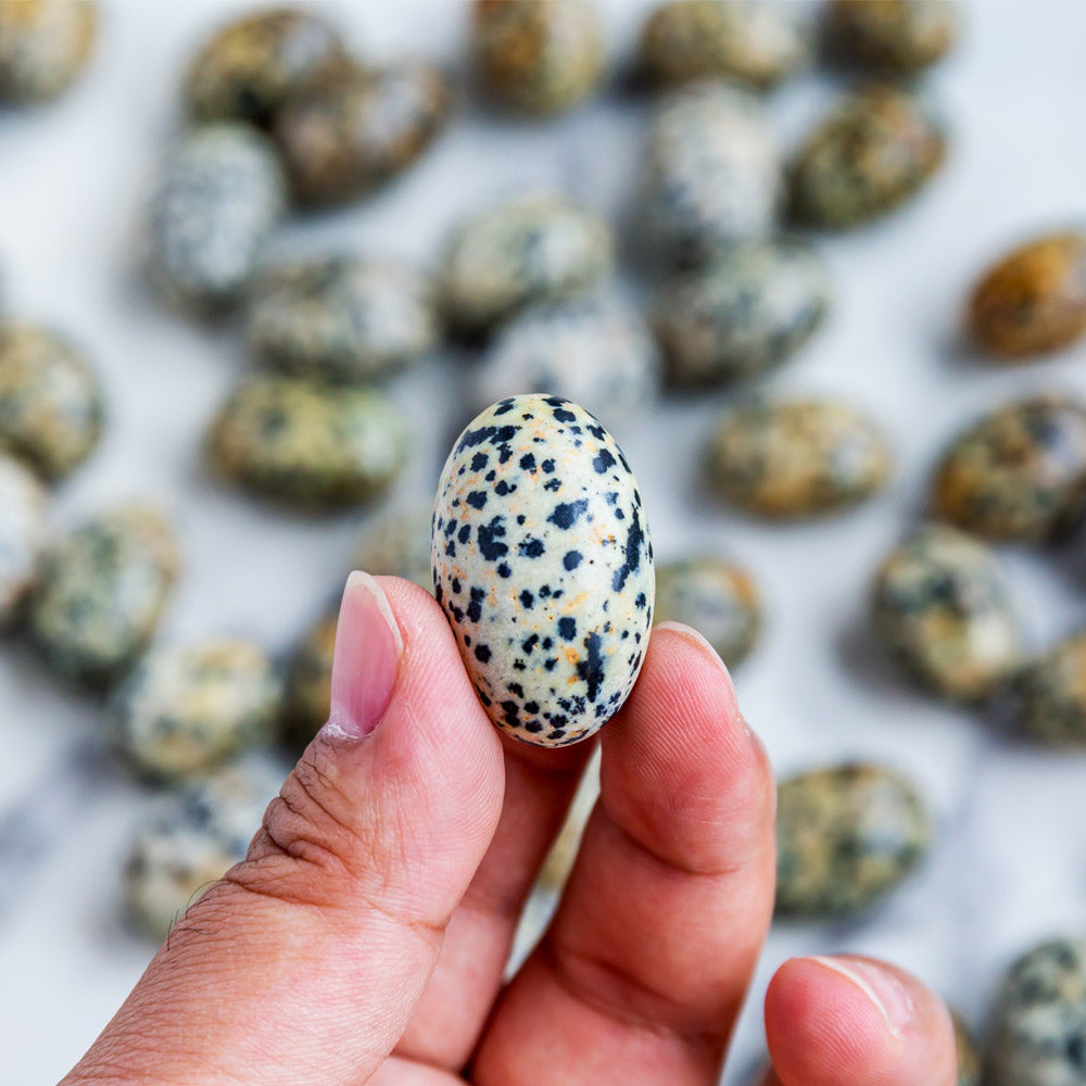 Dalmatian Jasper Tumbled Stone