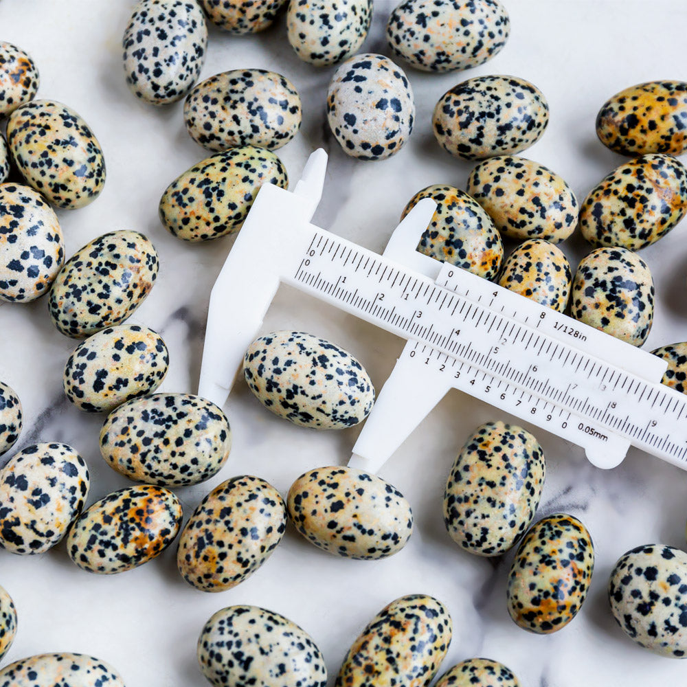 Dalmatian Jasper Tumbled Stone