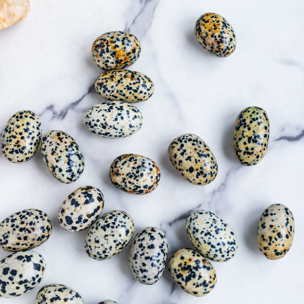 Dalmatian Jasper Tumbled Stone