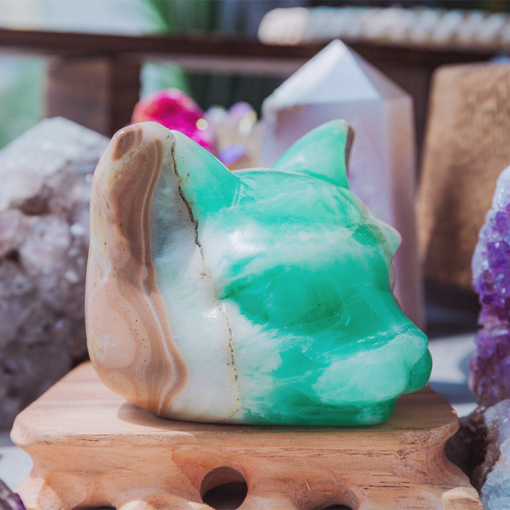 Caribbean Calcite Cat Head