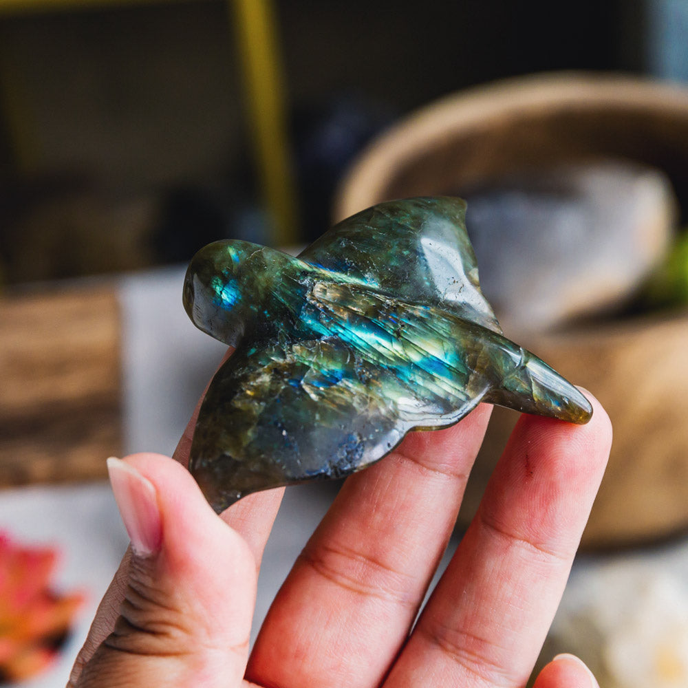 Labradorite Devil Fish