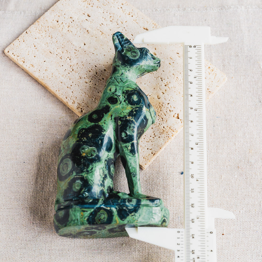 Kambamba Jasper Egypt Cat