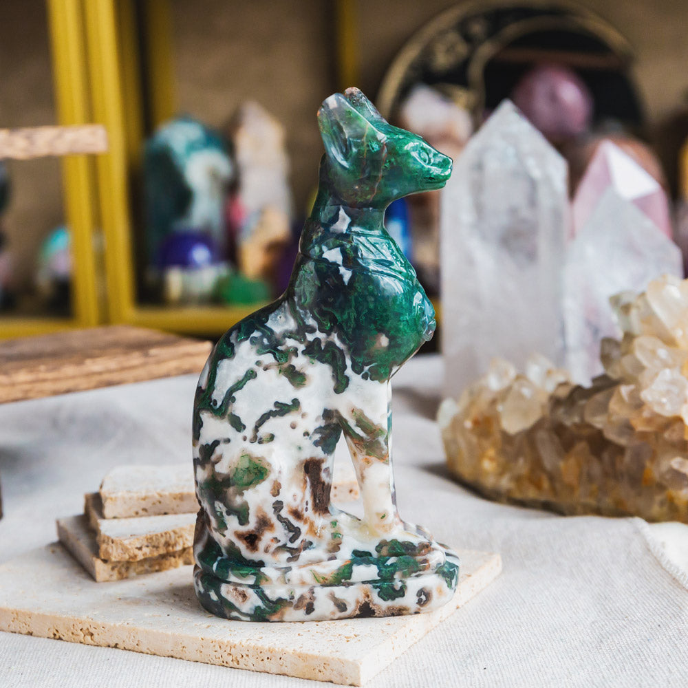 Moss Agate Egypt Cat