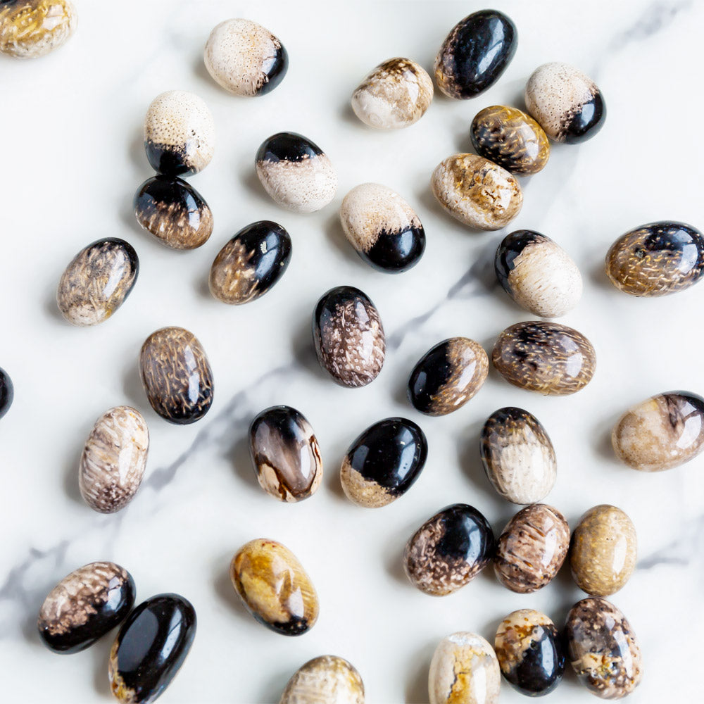 Palm Root Tumbled Stone