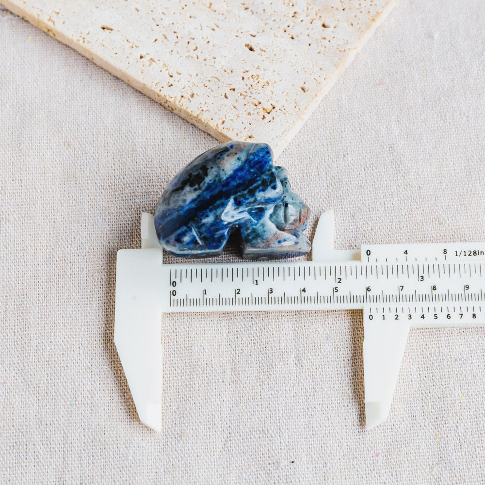 1.5" Sodalite Skull