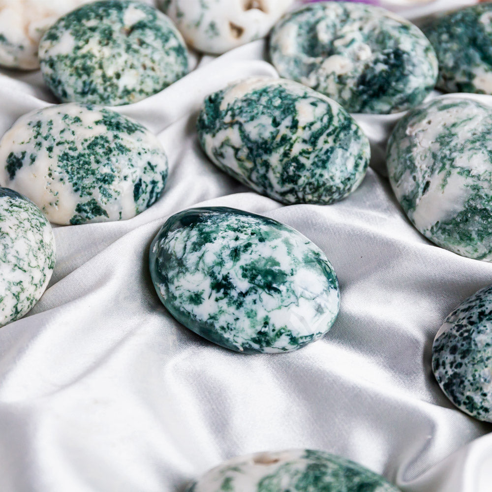 Tree Agate Palm Stone