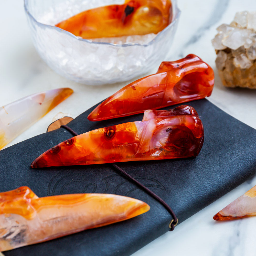 Carnelian Raven Skull