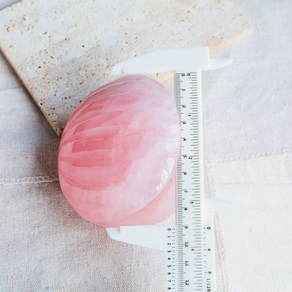 Rose Quartz Shell