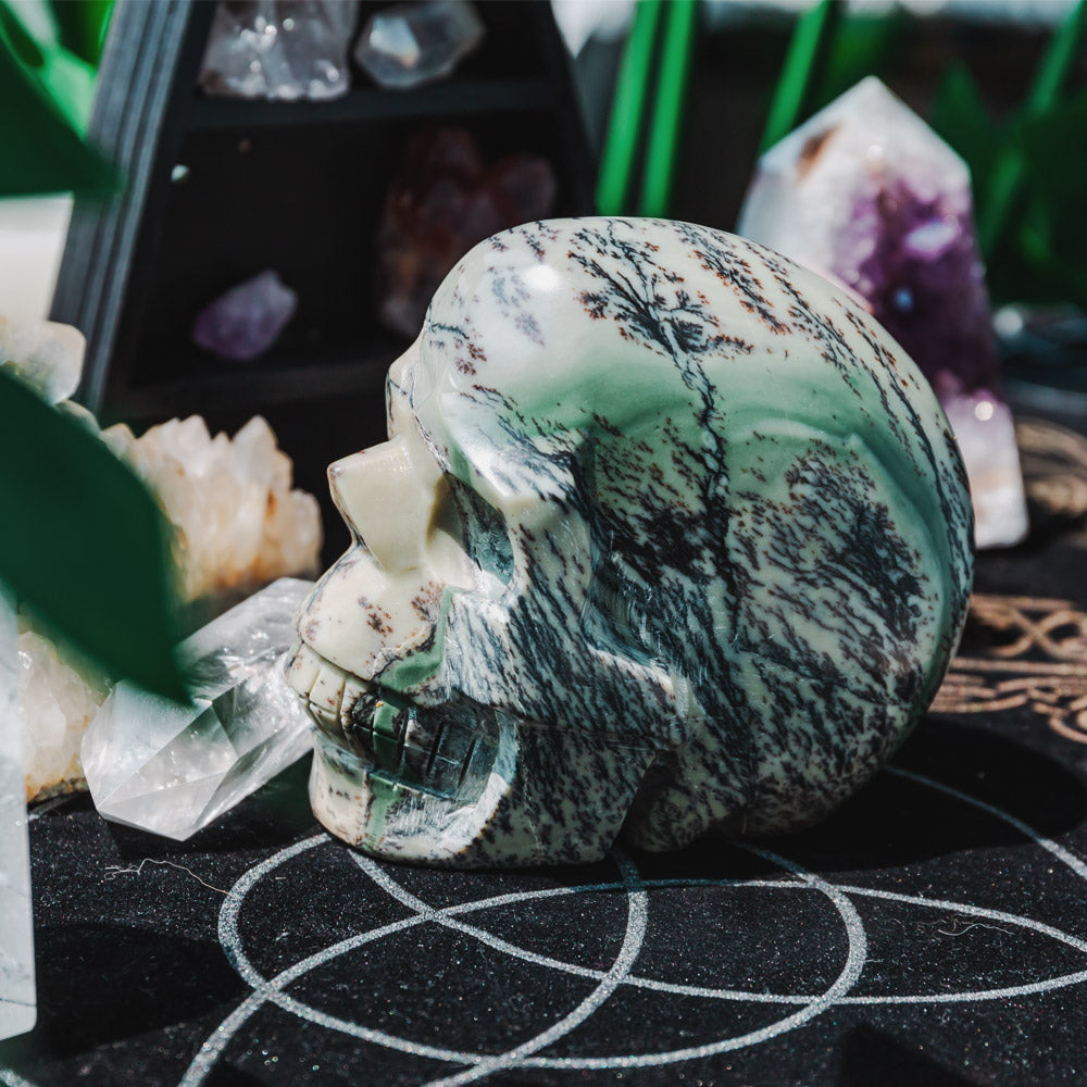 5" Dendritic Agate Skull