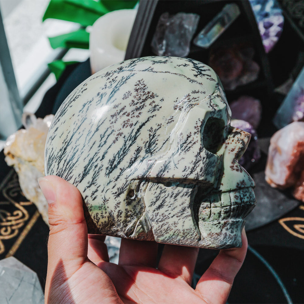 5" Dendritic Agate Skull