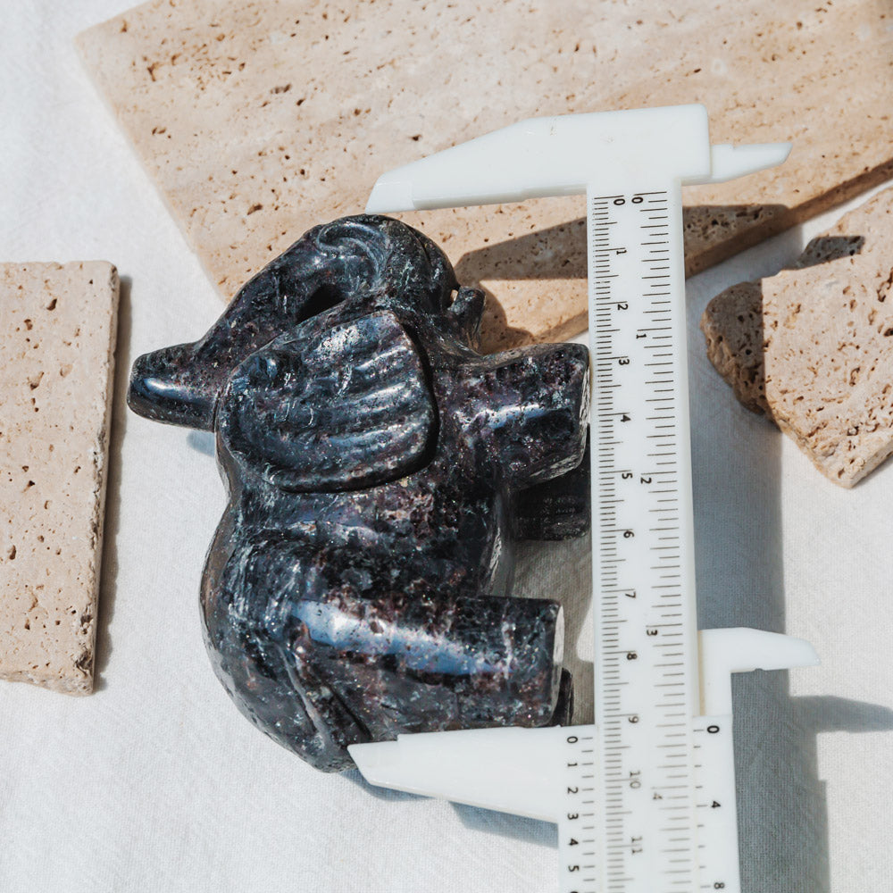 4" Astrophyllite With Garnet Elephant