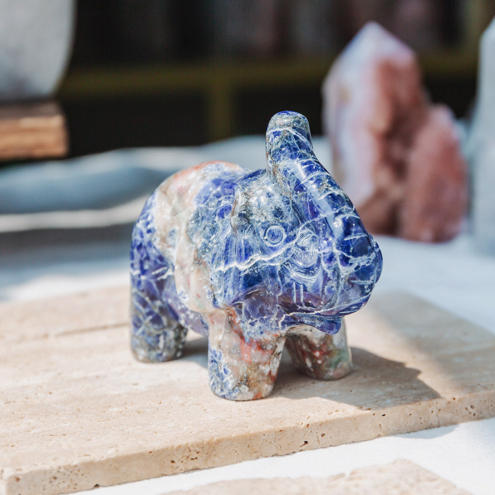 3" Sodalite Elephant