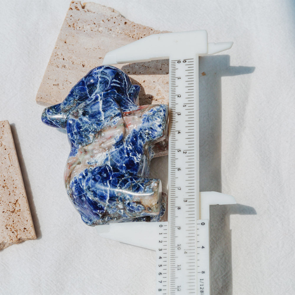 3" Sodalite Elephant