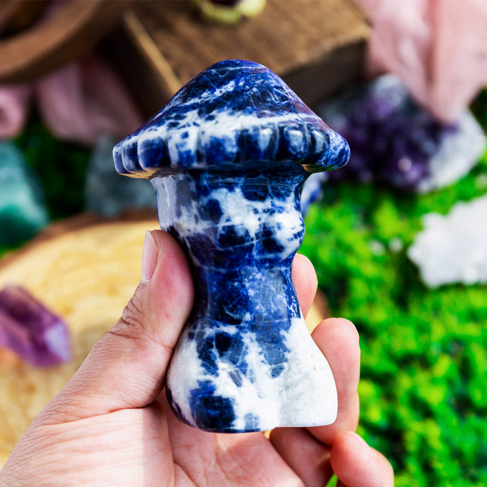 Crystal mushroom body