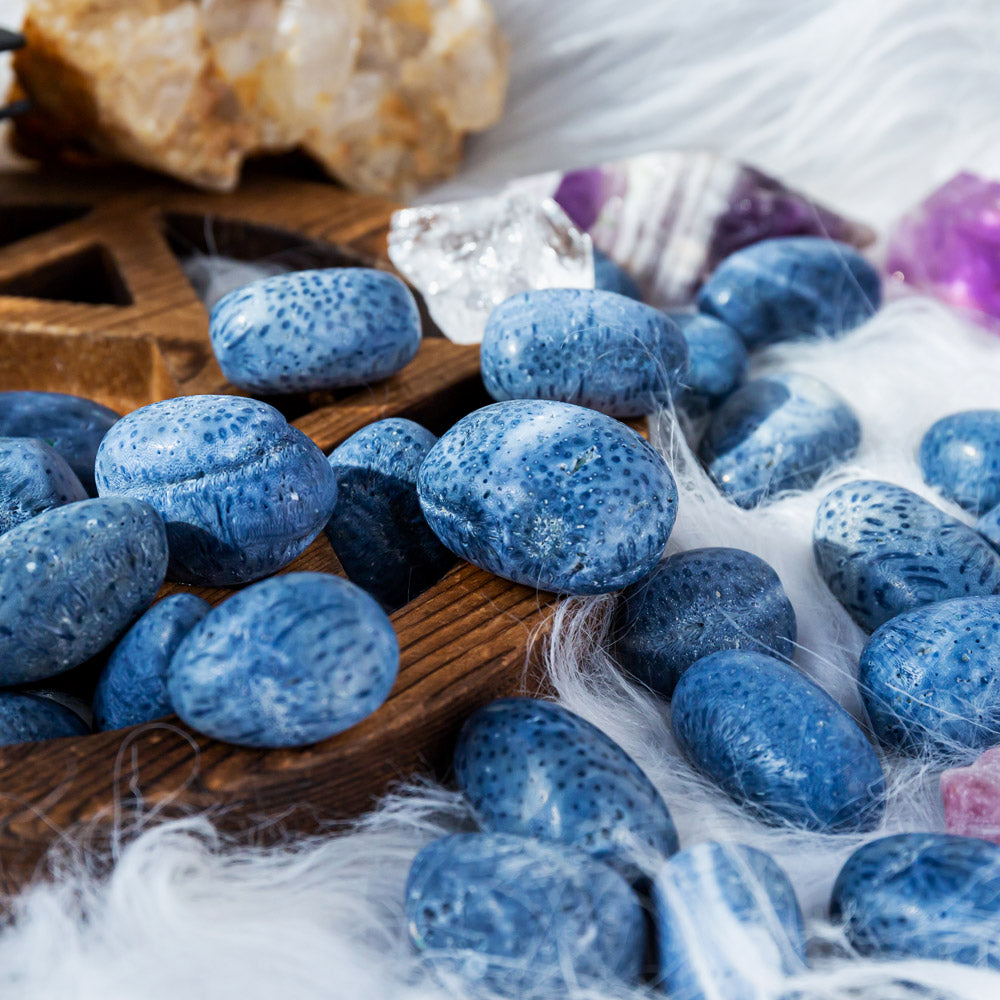 Blue Coral Tumbled Stone