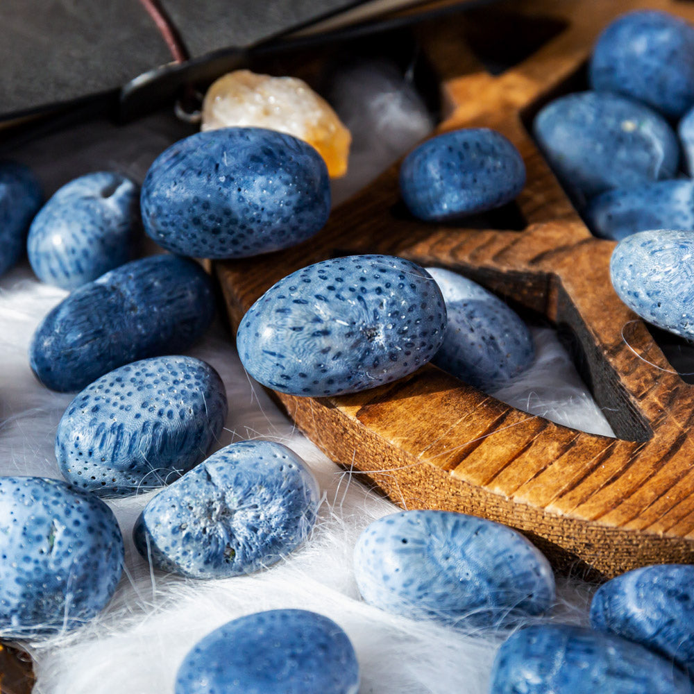 Blue Coral Tumbled Stone