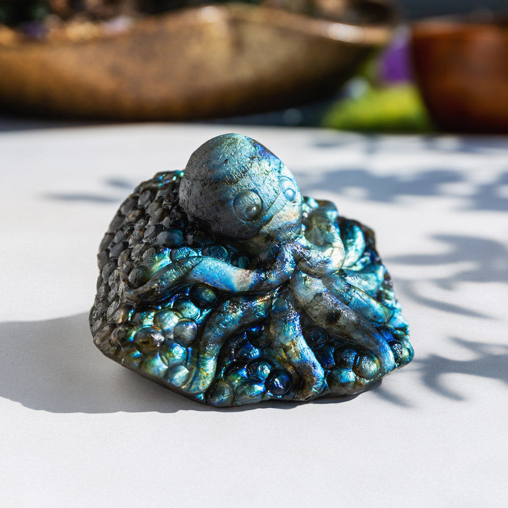 Labradorite Octopus